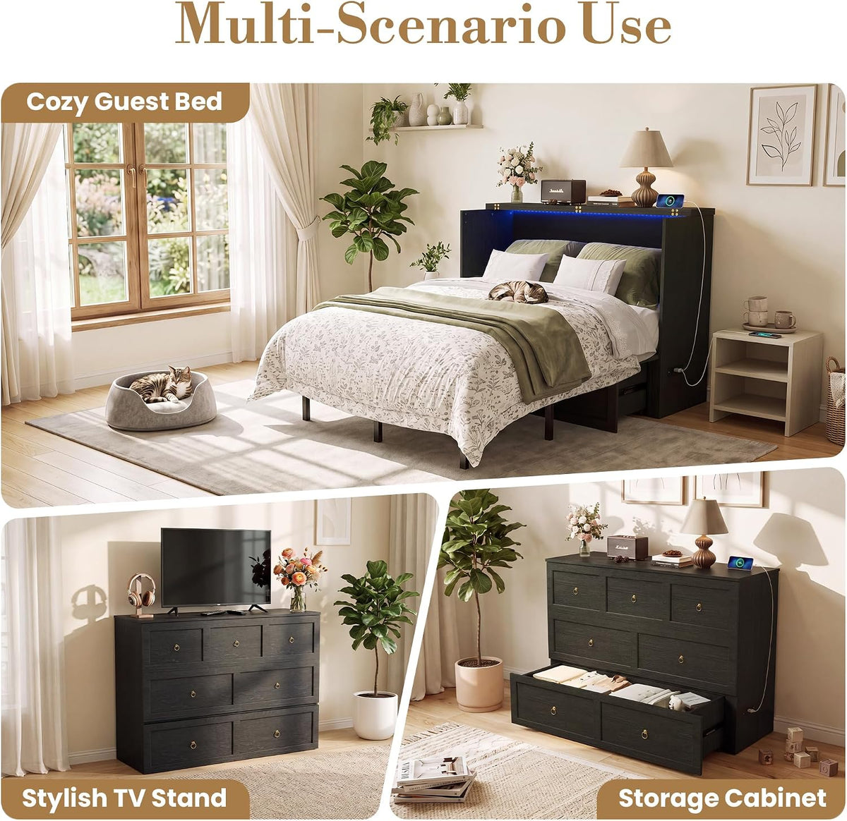 Queen Murphy Bed with Hidden Storage, Farmhouse Cabinet Bed with Storage Drawer, RGB LED Lights & Charging Station, Space-Saving Wall Bed with 6 Metal Legs, Black